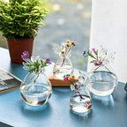 Sziqiqi Glass Guardian Angel Hanging Bud Vase, Plant Containers, 12Pcs - Image 2