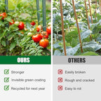 25 Pack 48 Inch Garden Stakes & Tomato Stakes for Climbing Plants - Image 3
