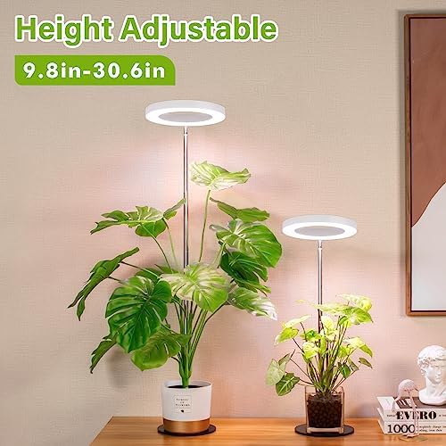 LORDEM Desk Grow Light, Full Spectrum LED for Indoor Plants - Image 2