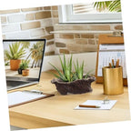 Vintage Creative Cement Tree Root Planter for Indoor Succulents - Image 5