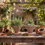 Yungyan 2 Set 7'' Rustic Terracotta Plant Pot with Drainage Saucer Vintage Breathable Clay Planter Farmhouse Flower Pot Distressed Finish for Flower Succulent Modern Home Garden Decor(Tapered) - Image 4
