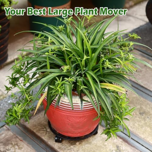 2 Pack 11 In Rolling Plant Stand with Wheels Metal Plant Caddy with Wheels - Image 6