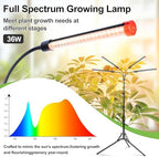 FRGROW 4Head Grow Light with Stand for Tall Indoor Plants, Bonsai Tree - Image 2
