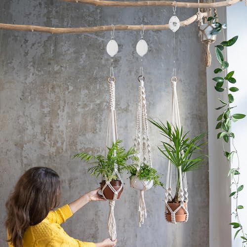 Plant Pulleys for Hanging Plants, Heavy Duty Retractable Hangers, 304 Stainless Steel Rope, Auto Plant Holder, Adjustable Climbing Hook for Garden Baskets Watering, or Bird Feeders (White-4) - Image 6