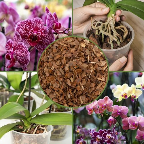 Soil Sunrise 100% Organic Orchid Potting Bark (30 Quarts) All-Natural USA-Sourced Pine Bark Orchid Mix Additive - Image 6