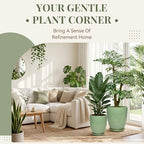 9.5 Inch Modern Ceramic Plant Pot with Saucer, Flower Pot with Drainage Hole Mesh Net,Indoor Outdoor Planter (Crackle-Green) - Image 2
