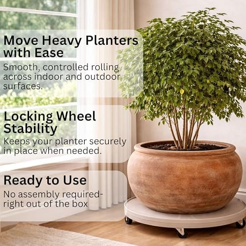 DeVaultEnterprises Devault 16 Inch Plant Dolly Multi-Pack, Heavy Duty Rolling Plant Caddy with Wheels for Large Pots and Planters, 500 lb Capacity, Made in USA (1, Black/Hole) - Image 4