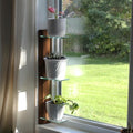Daniel's Plants 3 Tiered Window Sill Plant Shelf (Real Wood & Glass) | Renter Friendly Window Shelves | Removable Indoor Plant Stand with Hook-and-Loop | Easy Setup | Solid Wood (Woodland Brown) by DanielsPlants