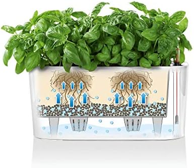 Lechuza Delta 20 Shiny Taupe, Self-Watering Planter Indoor, H7.1 L15.7 W5.9 in - Image 7