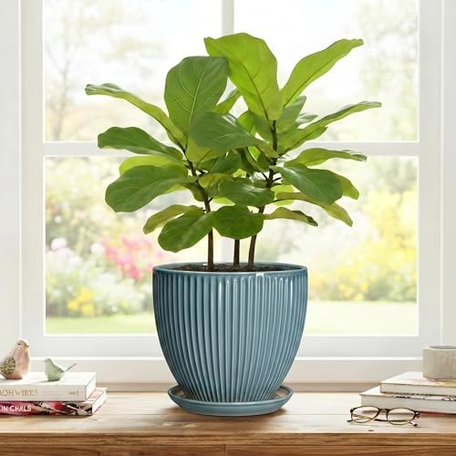 Ceramic Planter, 8 Inch Plant Pot Indoor with Saucer, Glaze Blue - Image 7