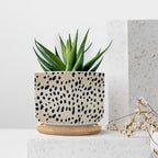 Black and Brown Animal Print Planters Ceramic Black Round Plant Pots with Drainage Holes and Bamboo Tray Pot for Succulents Cactus Garden Windowsill - Image 7
