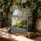 Vintage Glass Terrarium Greenhouse Large House Shape Plant Display Box Planter Container for Fern Moss Cacti Succulents Mordern Tabletop Decor Gardern DIY Kit Gift - Image 3