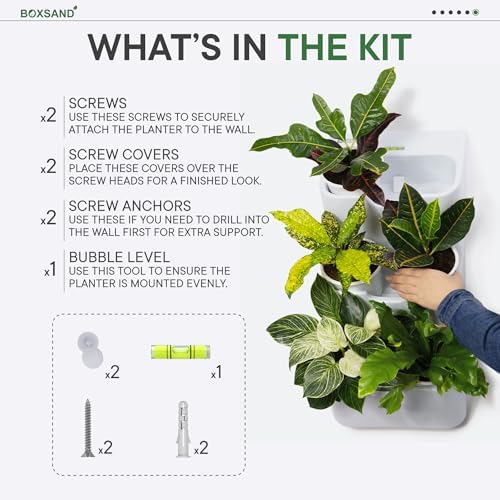 BOXSAND-6 (12"x26") Living Wall - Wall Planter, Vertical Garden for 6 Plants, Indoor/Outdoor, 2 Screws Install (White) - Image 7