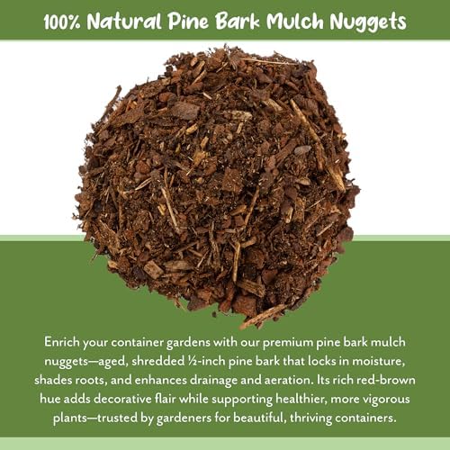 Soil Sunrise 100% Natural Pine Bark Mulch Nuggets (12 Quarts) Small Chips for Indoor/Outdoor Container Gardening, Ideal for Soil Supplement, Houseplant Topper, and Terrariums - Image 5
