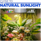 Barrina Hanging Grow Light for Indoor Plant, 50W (2 x 25W), Full Spectrum - Image 2