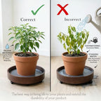 Plant Caddy with Wheels Indoor – Bamboo Rolling Plant Stand with Absorbent Stone, No Water Stains, 360° Wheels, Floor Protection Plant Tray for Heavy Pots - Image 6