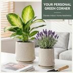 8 Inch Ceramic Planter Pot with Saucer Drainage Leak-Proof Mesh,Flower Pots for Lavender with Gardening Gloves,Ceramic Planter for Orchid(Silk White) - Image 2