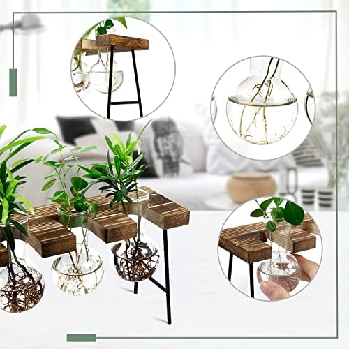 Plant Terrarium with Wooden Stand, Air Planter Bulb Glass Vase Metal Swivel Holder Retro Tabletop for Hydroponics Home Garden Office Decoration - 3 Bulb Vase - Image 6