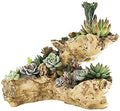 Driftwood Planter Artificial Sculpture Multilayer Log Planter Flower Pot by Fashionstorm