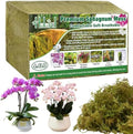 Halatool 4.4 LB Natural Green Forest Moss, Long Fiber Dried Sphagnum Moss by HALATOOL