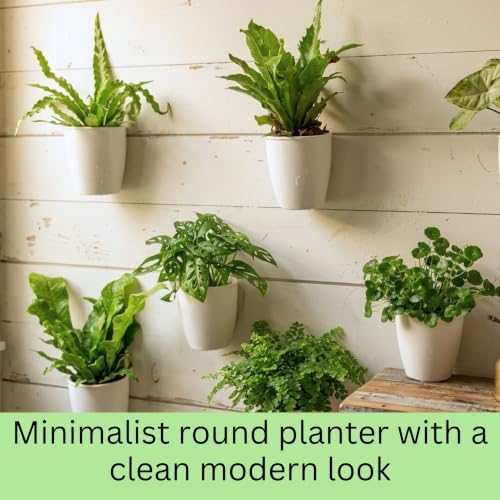 LaLaGreen Wall Planter for Indoor Plants (5in, 10 Pack) White Self-Watering - Image 6
