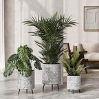 EverNest Tristan Neutral Minimal White and Black Modern Style Planter with Nyra Stand, SelectBase Plant Pots, Indoor Planter, Boho Home Decor, Minimalist Pot for Plants (Medium, Black) - Image 6