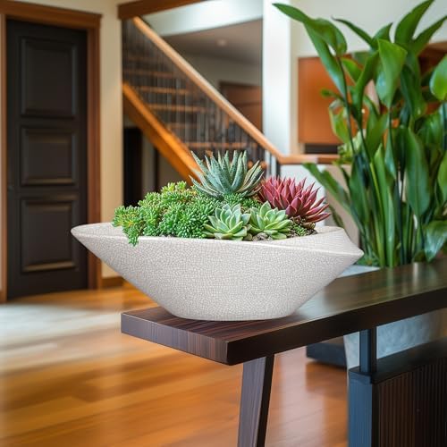 Bonsai Pots - 18 Inch Ceramic Plant Pot for Bonsai Tree, Modern Indoor & Outdoor Succulent Planter with Drainage, Room Decor, Gifts for Plant Lovers, White-Black - Image 5