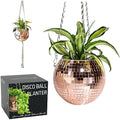 SCANDINORDICA Disco Ball Planter, Value Package, 6-inch Rose Gold by SCANDINORDICA