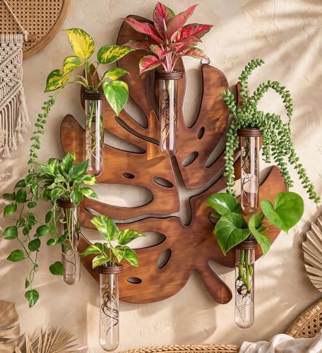 Plant Propagation Station, Monstera Hanging Wall Planter with 6 Glass Tubes by THYGIFTREE