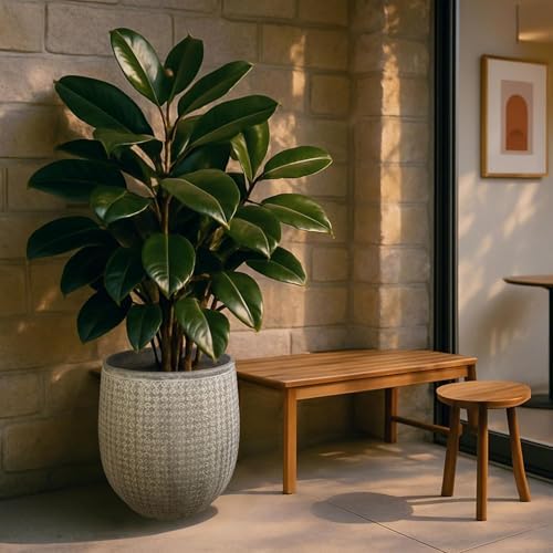 Worth 14.5" Round Planter, Lightweight Magnesium Oxide Cement Plant Pot, Raised Pattern Concrete Look with Drainage Hole for Indoor/Outdoor Use, Grey - Image 6