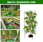 6 Packs Tomato Cages for Garden, 12"×12"×39" Plant Support Cage with Different Spacing, Green Metal Trellis for Climbing Plants Like Cucumber, Flowers - Image 7