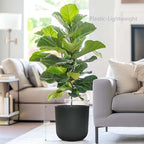 11"H Black Plastic Planter with Drainage Hole & Plug for Indoor Outdoor Use - Image 7