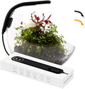 Clip On Fish Tank Light LED Flexible Aquarium Lamp for Plants by COLLAR