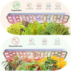 Indoor Herb Garden with Grow Light & Pots, Full Spectrum LED Planter for Kitchen Herbs & Houseplants, Height Adjustable Indoor Growing System for Home & Apartment Decor (White, 16 * 6.3 * 7.1 inch) - Image 2