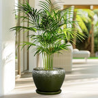 Ceramicfor 8 Inch Plant Pot - Ceramic Planter with Drainage, Dark Green - Image 4