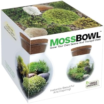 Create Your Serene Moss Sanctuary with The Unique Gardener Moss Bowl Terrarium Kit with LED Light - Complete Terrarium Supplies, Indoor Plants for Stress Relief & Air Purification! - Image 7