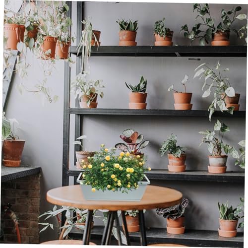 4-Set Rectangular Window Box Planter with Saucer Vegetable Herb Flower Planting Pots for Indoor Outdoor Garden 43cm Medium Plastic Containers in Light Gray Sky Blue Terracotta - Image 5