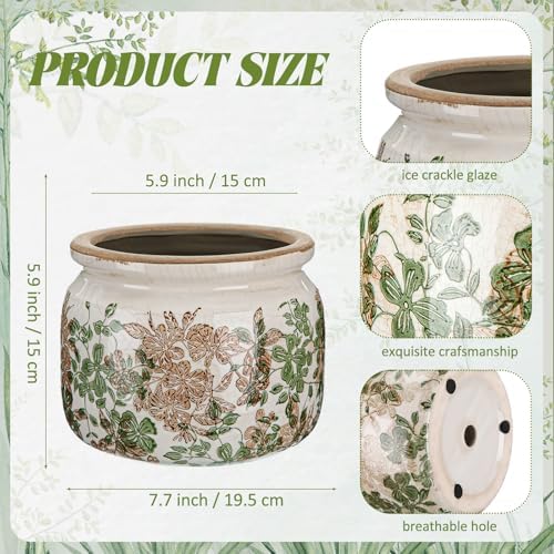 7.7" Large Ceramic Plant Pot Pink Green Vintage Hibiscus Crackle Glaze Rustic Flowers Pot Decorative Planter with Drainage for Indoor Outdoor Plants Home Kitchen Office Decor Gift - Image 2