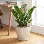 Ceramic Plant Pots, 10 Inch Pots for Plants with Saucer, Cream White - Image 3