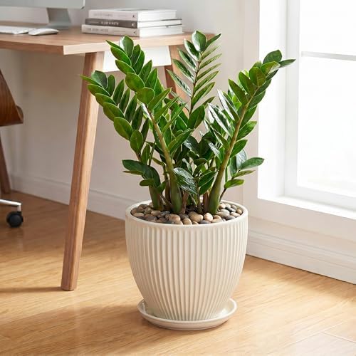 Ceramic Plant Pots, 10 Inch Pots for Plants with Saucer, Cream White - Image 3