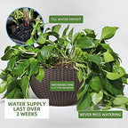 Dexceder 13.5 Inch Self Watering Hanging Planter (Brown) - Image 4