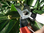 Okatsune 103 Bypass Pruners General Purpose Medium (One Pack) - Image 4