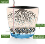 Dexceder 9x8 Self Watering Planter (White High Gloss) - Image 2