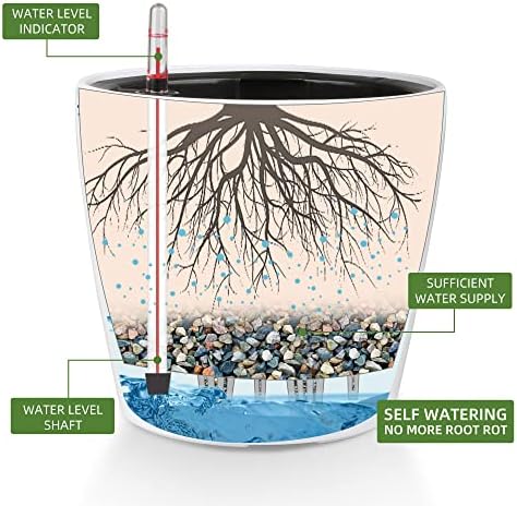 Dexceder 9x8 Self Watering Planter (White High Gloss) - Image 2