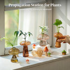Glasseam Mushroom Plant Propagation Station, 10Pcs Small Glass Vases Bulk - Image 4
