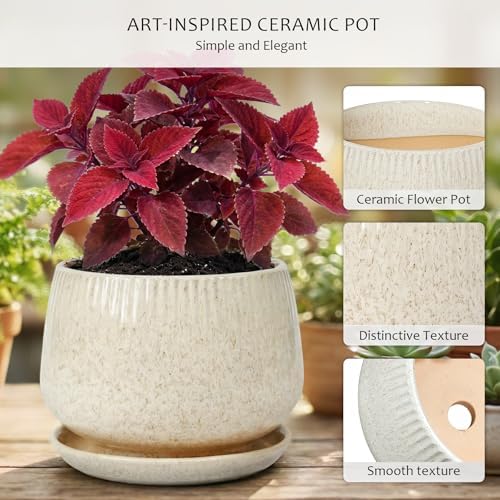 7.5 Inch Ceramic Planter with Saucer,Modern Garden Pots with Drainage Hole Mesh Net, for Indoor Outdoor Use (Silk White) - Image 3