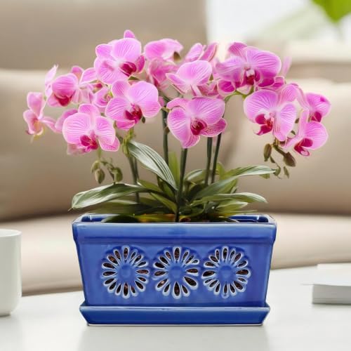 EFISPSS 10 Inch Orchid Pot, Ceramic Orchid Pots with Holes, Indoor Flower pots with Drainage and Saucer, Plant Pots Enhance Good Ventilation - Blue by EFISPSS