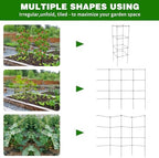 6 Packs Tomato Cages for Garden, 12"×12"×39" Plant Support Cage with Different Spacing, Green Metal Trellis for Climbing Plants Like Cucumber, Flowers - Image 3