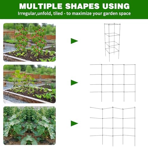 6 Packs Tomato Cages for Garden, 12"×12"×39" Plant Support Cage with Different Spacing, Green Metal Trellis for Climbing Plants Like Cucumber, Flowers - Image 3
