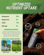 Lutz Corporation, Palm Tree Fertilization Spikes, Manganese 40 Pack - Image 3